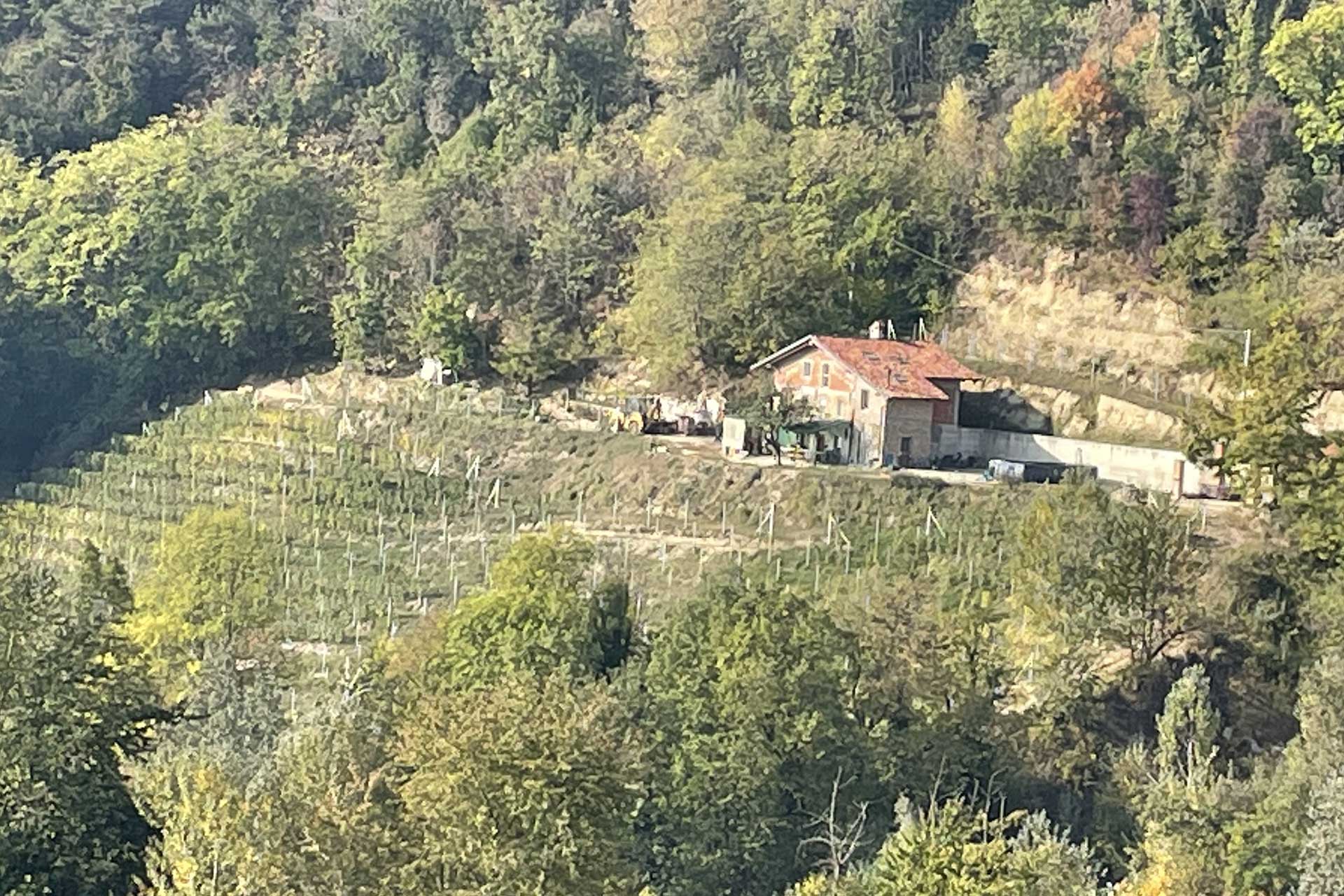 L'azienda agricola Quarneti a Monforte d'Alba